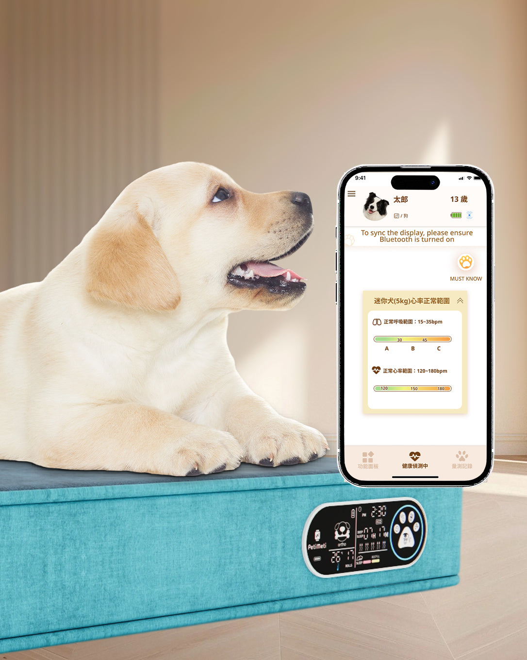 Petimeti Ortho Air™ | 零壓力智能護脊床墊